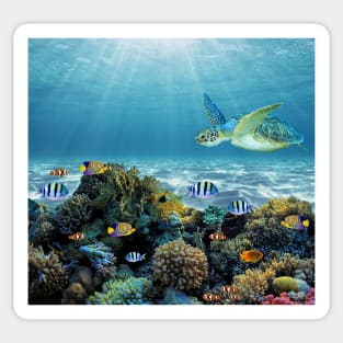 Aquatic Coral Reef Background Sticker